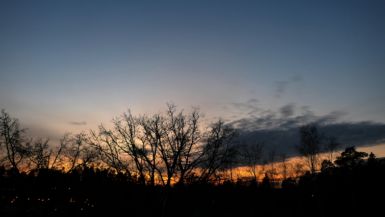 23.11.2019k.16.01 (248K)