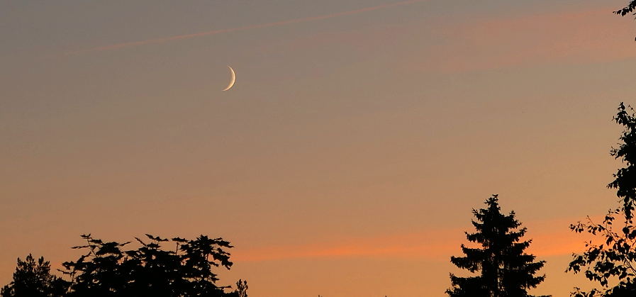 24.6.2020.k22.45 (451K)