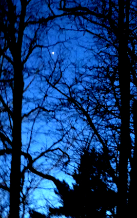 25.2.2020Venus (187K)