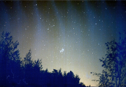 25.9,2004delfiini (99K)