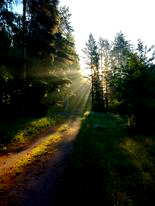 292358759_1014069699292432_482338633347951294_m (36K)