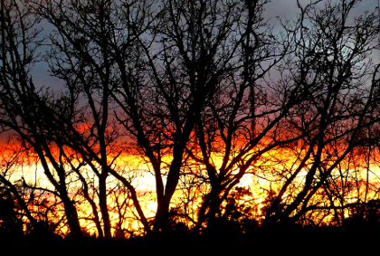 3.11.2018k 15.21 (215K)