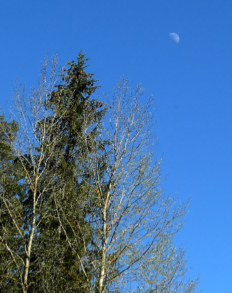 30.5.2020k16.07 (307K)