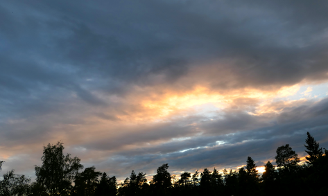 5.8.2018.k21.29 (172K)