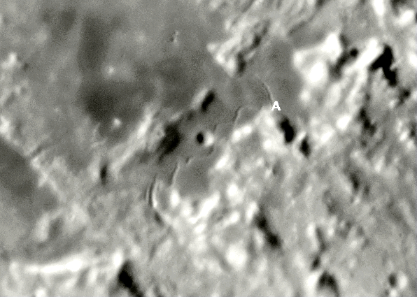 IMG-20210926-WA0003pk (263K)