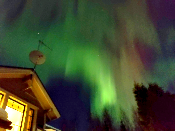 IMG_20220115_011138Saara (308K)