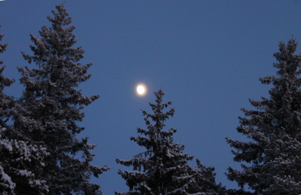 Kuu 20.1.2016 (220K)