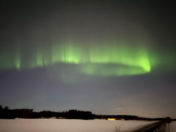 Sanna Pietiainen (160K)