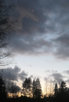 Venus 4.1.2020 (103K)