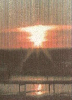 auringonkolmejalkaa (90K)