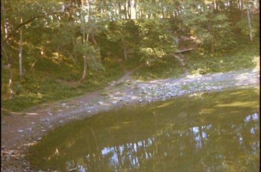 kaalijarvipieni.jpg (25K)