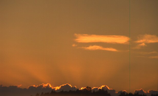 pivisteet6.jpg (17K)