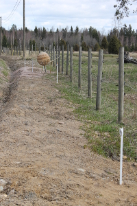 Saturnuksen kuut (85K)