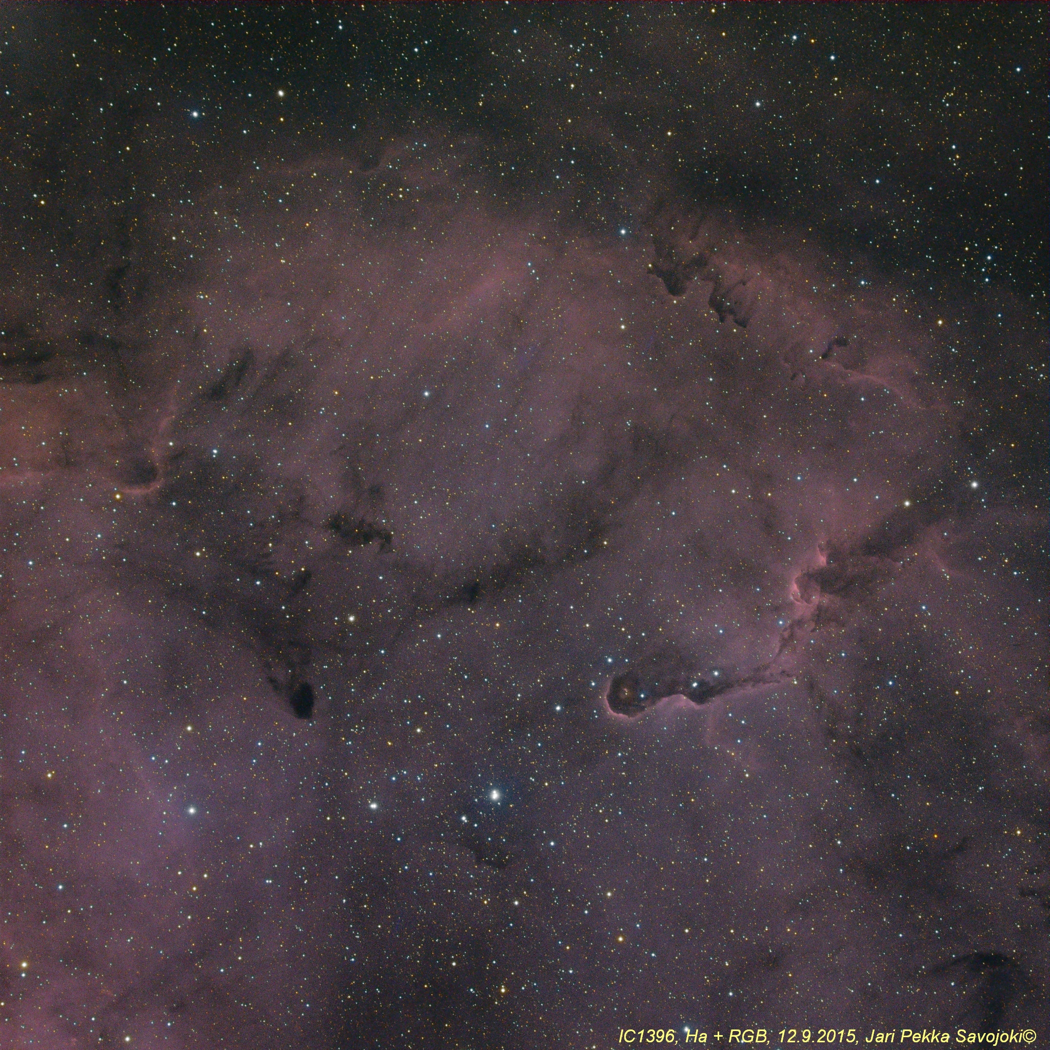 IC1396