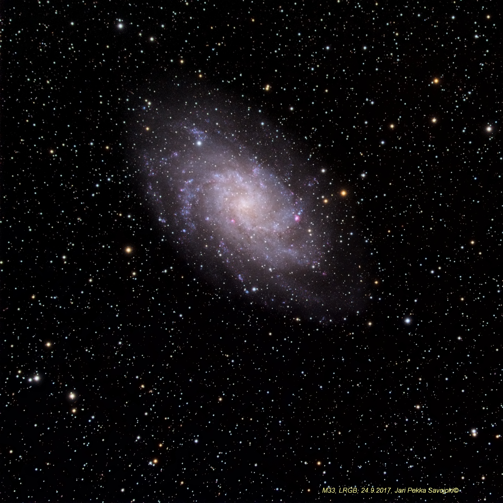 M33