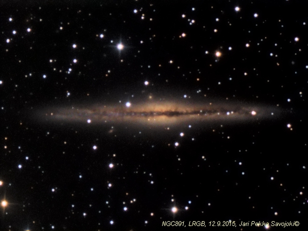 NGC891