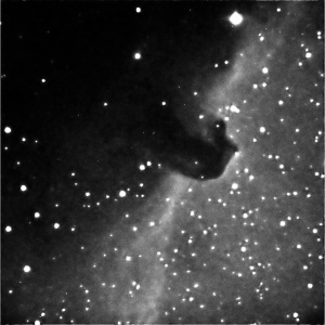 hevosenpsumu ic434.jpg, valotus: 120 sekuntia