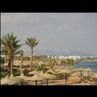 sharm249.jpg