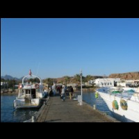 sharm495.jpg